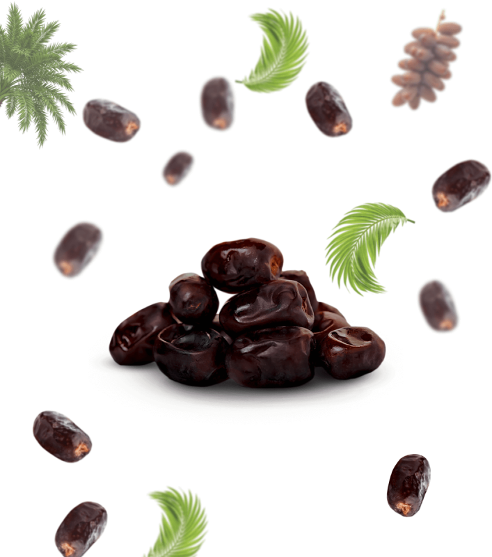 Dates